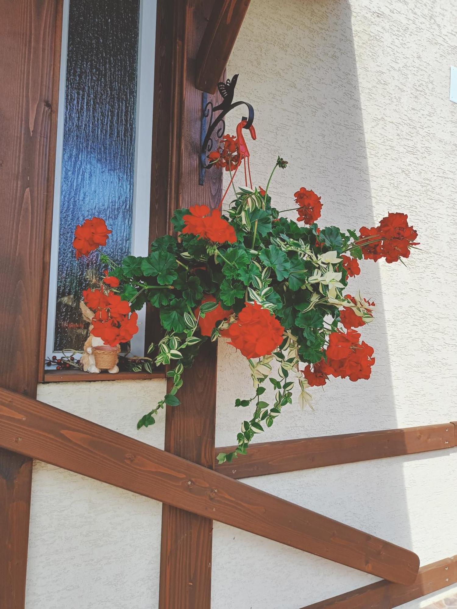 Residence Rooms Bucovina 큼홀룸그몰도베네스크 외부 사진