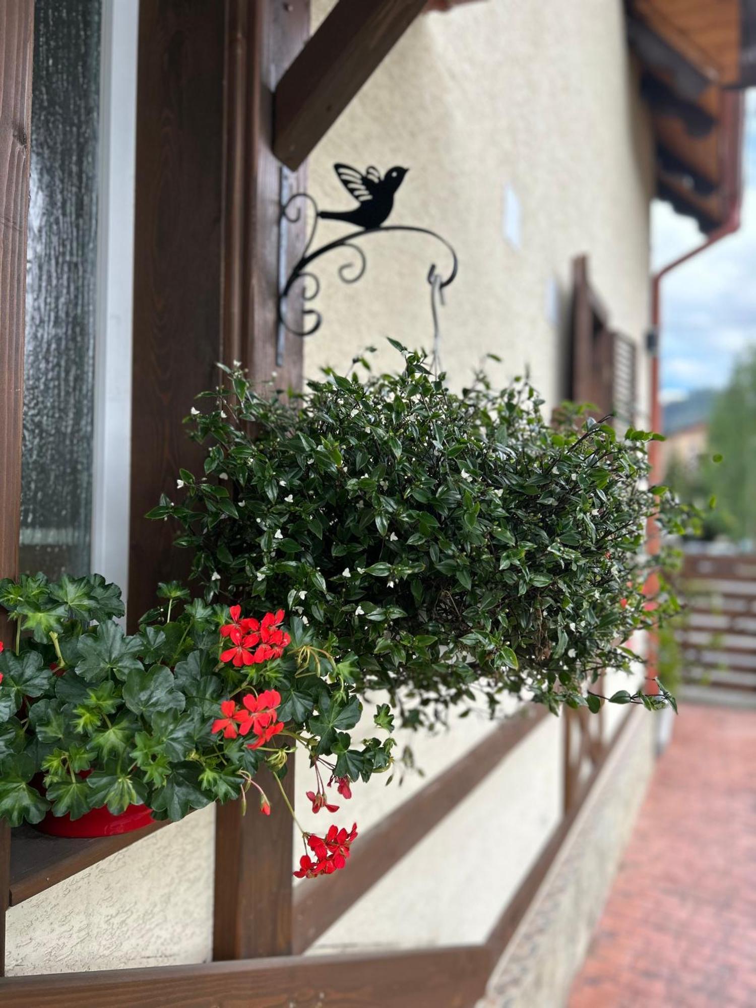 Residence Rooms Bucovina 큼홀룸그몰도베네스크 외부 사진